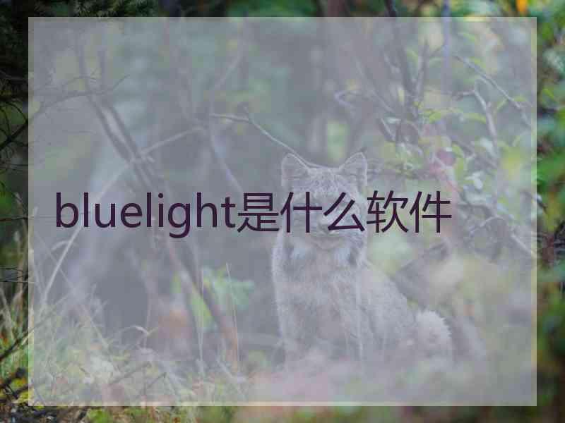 bluelight是什么软件