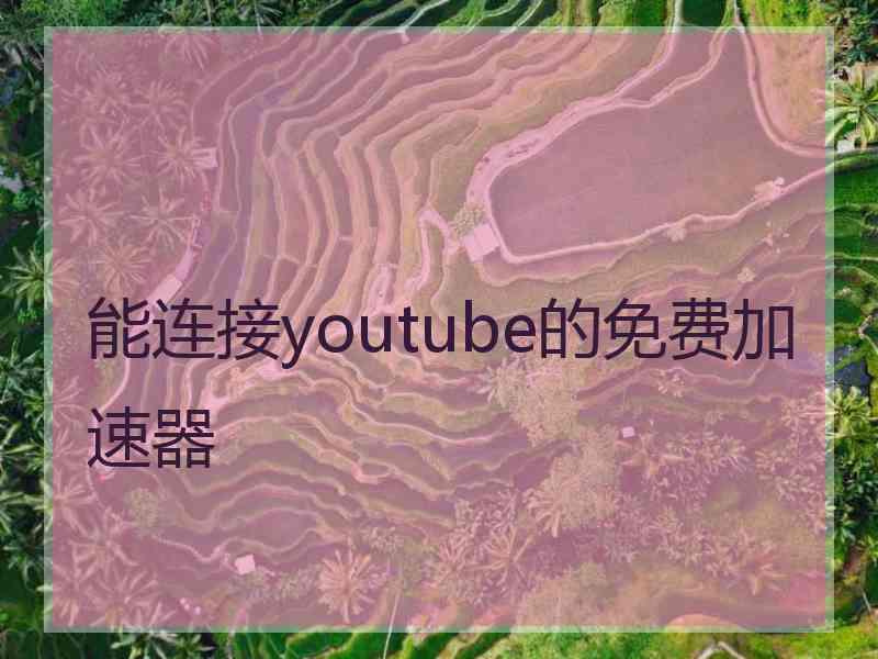 能连接youtube的免费加速器