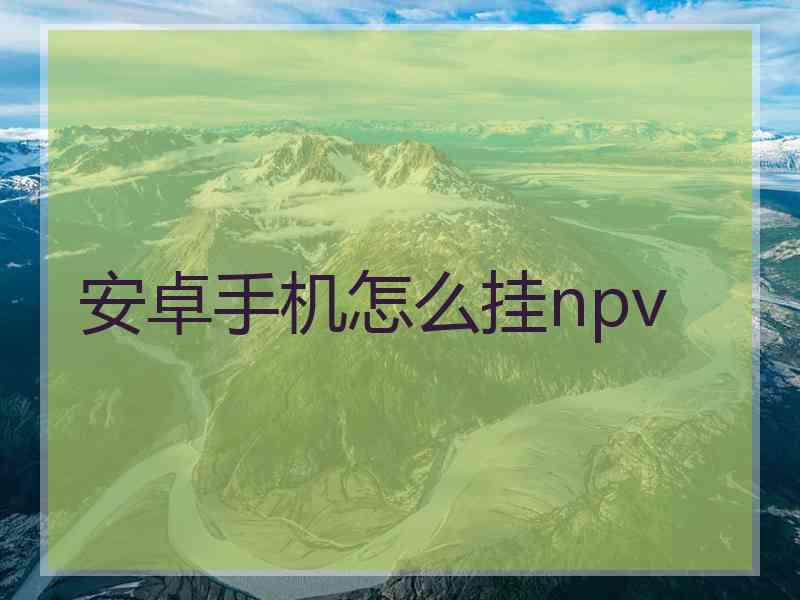 安卓手机怎么挂npv