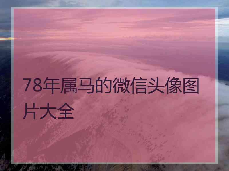 78年属马的微信头像图片大全