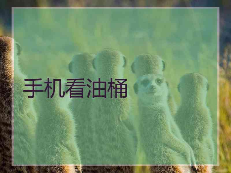 手机看油桶