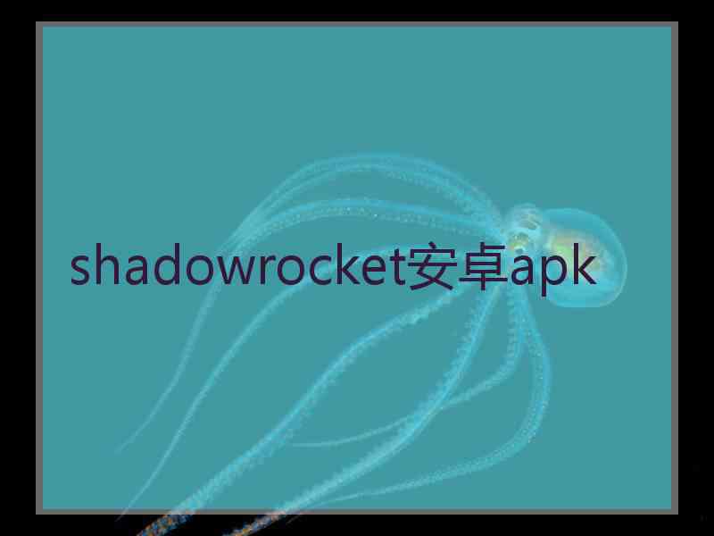 shadowrocket安卓apk