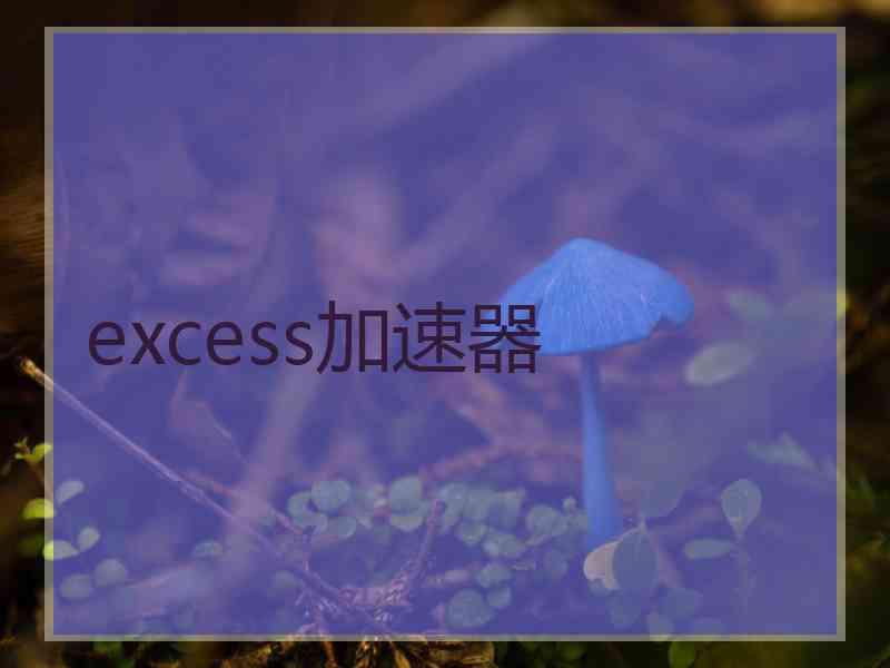 excess加速器