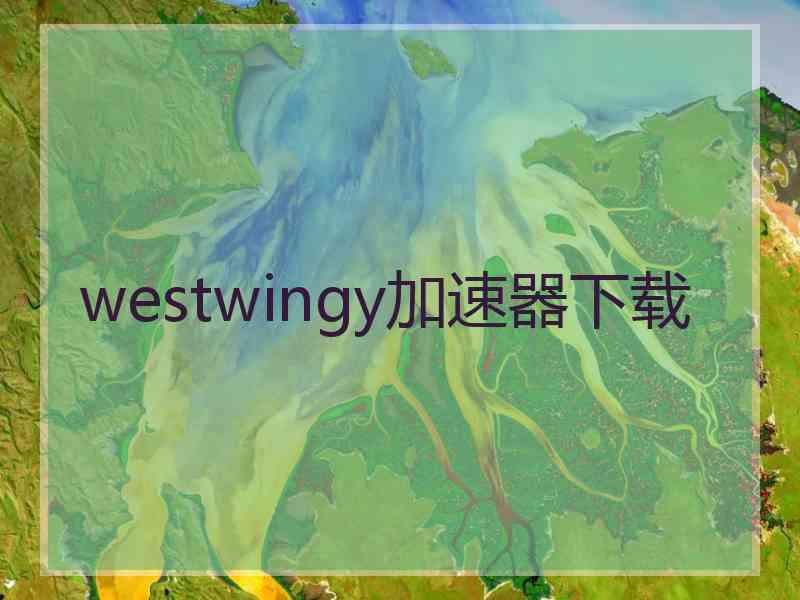 westwingy加速器下载