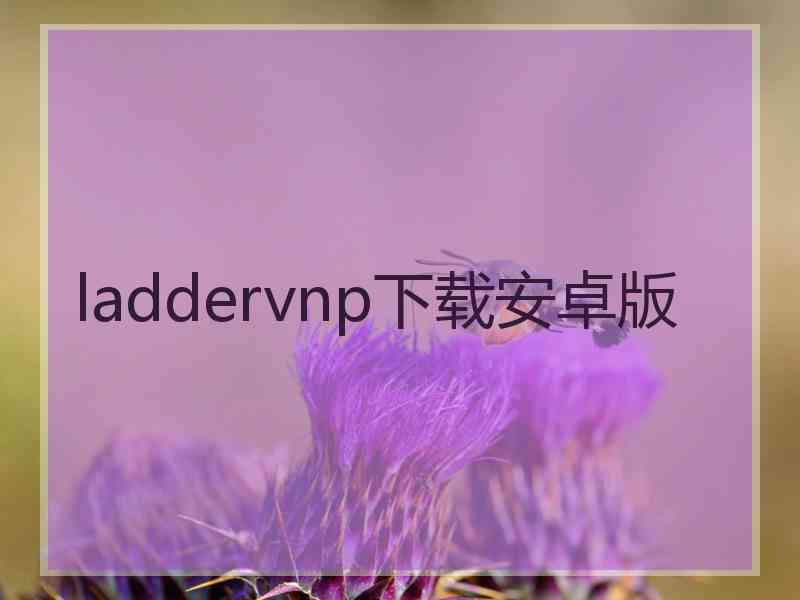 laddervnp下载安卓版