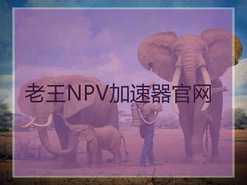 老王NPV加速器官网