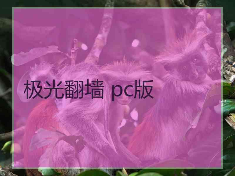 极光翻墙 pc版