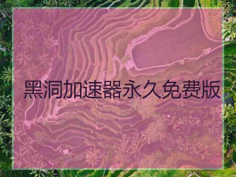 黑洞加速器永久免费版