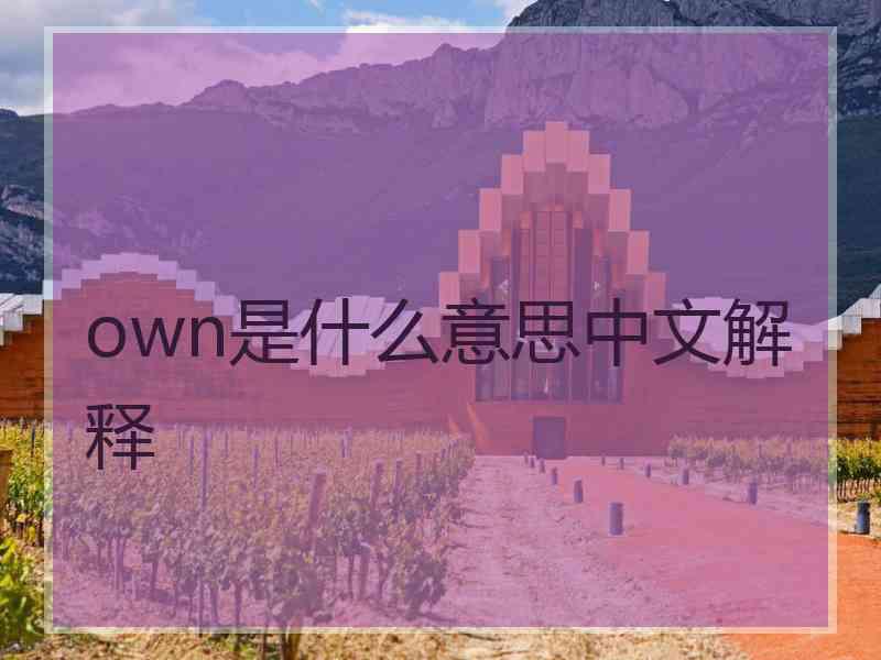 own是什么意思中文解释