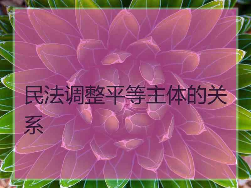 民法调整平等主体的关系