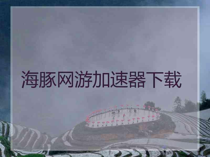 海豚网游加速器下载