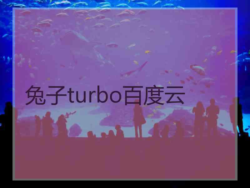 兔子turbo百度云