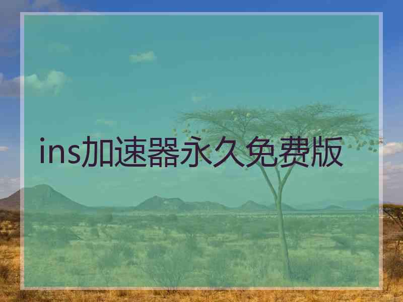 ins加速器永久免费版