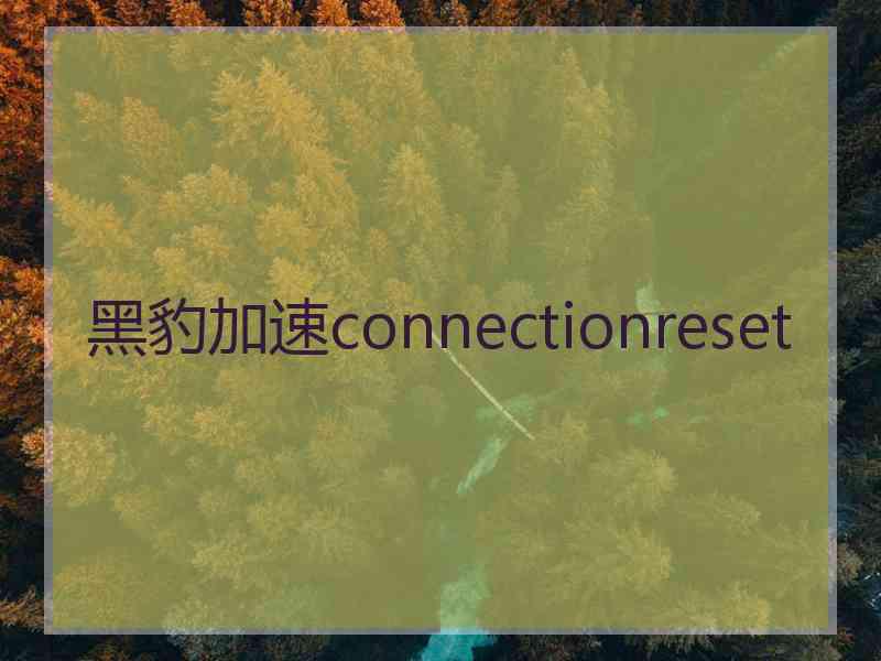 黑豹加速connectionreset