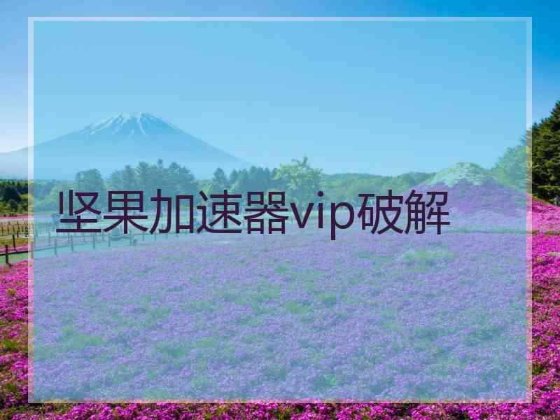 坚果加速器vip破解