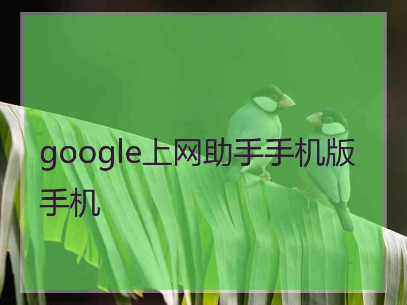 google上网助手手机版手机