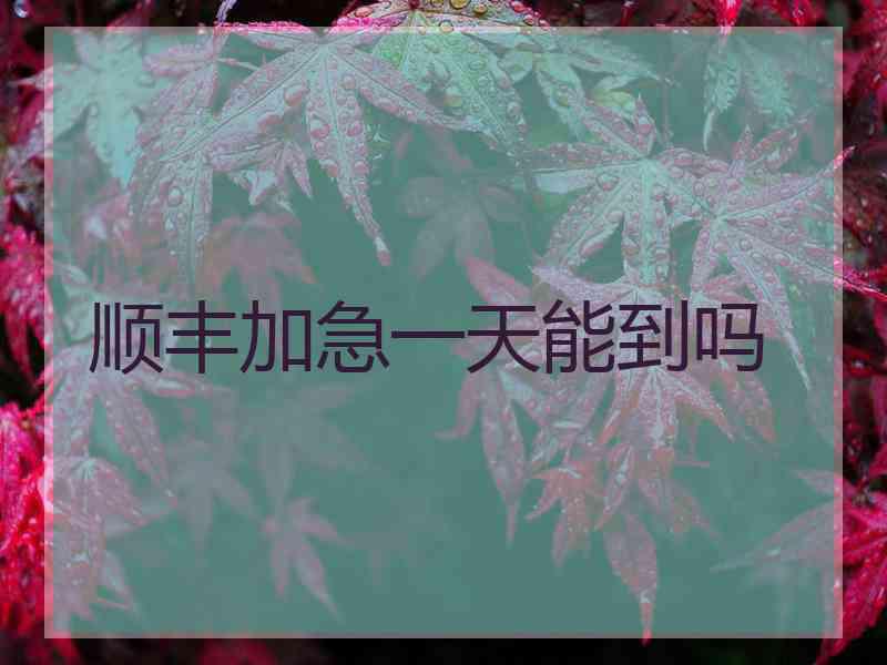 顺丰加急一天能到吗