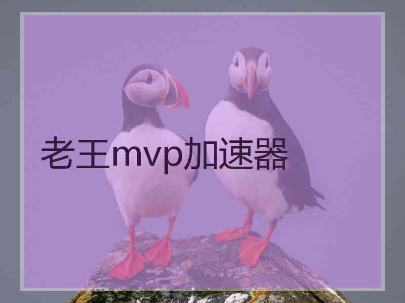 老王mvp加速器
