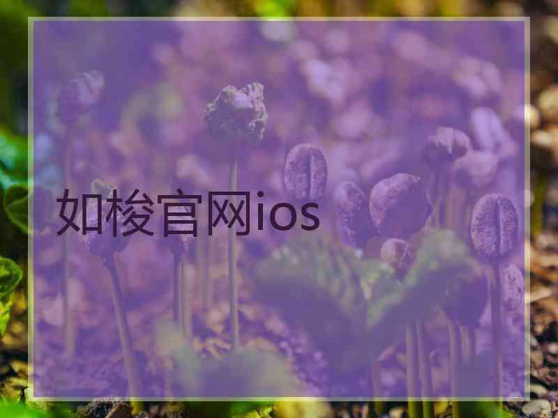 如梭官网ios