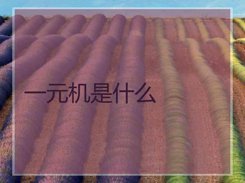 一元机是什么