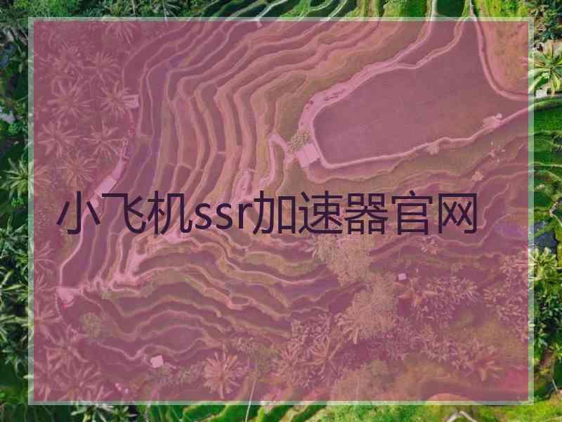 小飞机ssr加速器官网