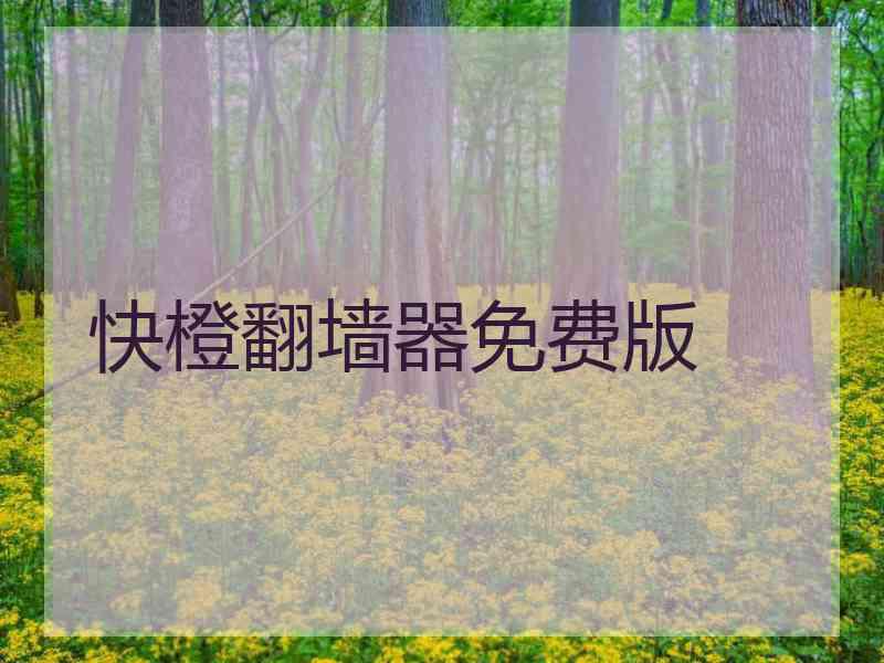 快橙翻墙器免费版