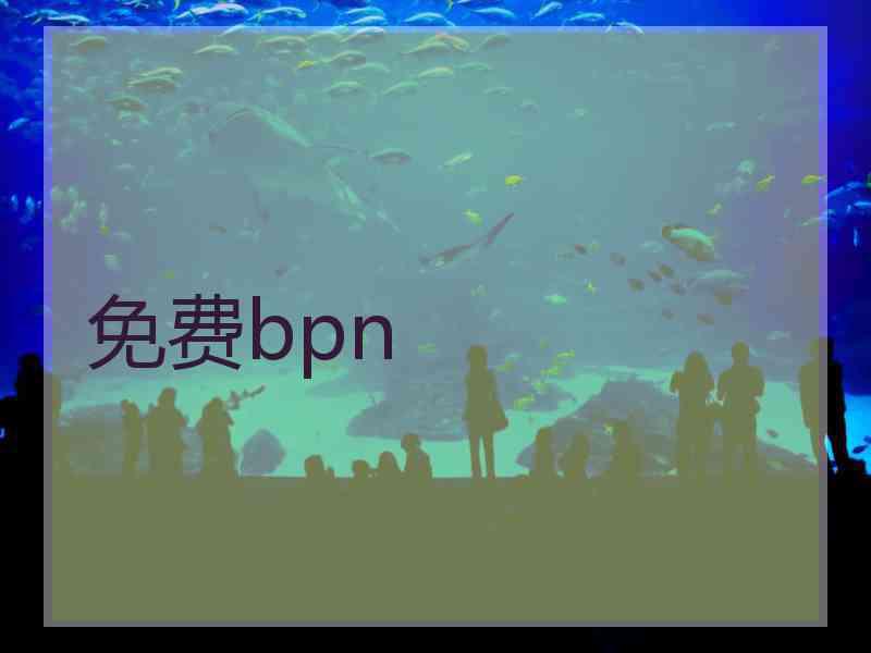 免费bpn