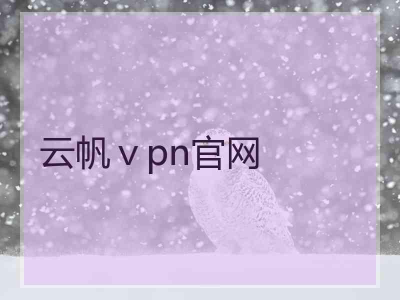 云帆ⅴpn官网