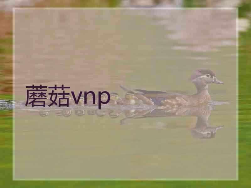 蘑菇vnp