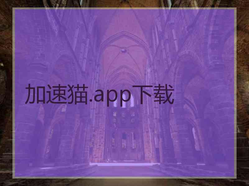 加速猫.app下载