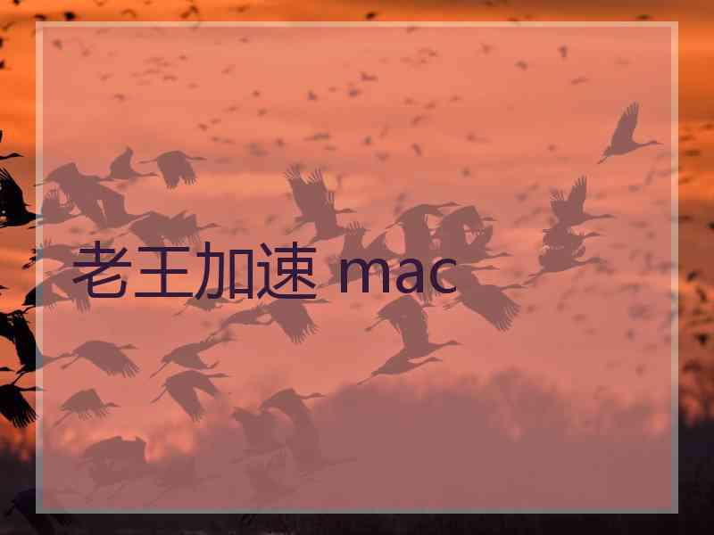老王加速 mac