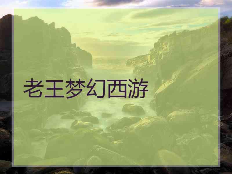 老王梦幻西游