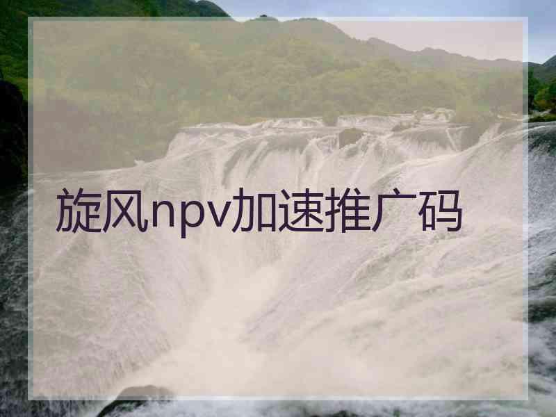 旋风npv加速推广码