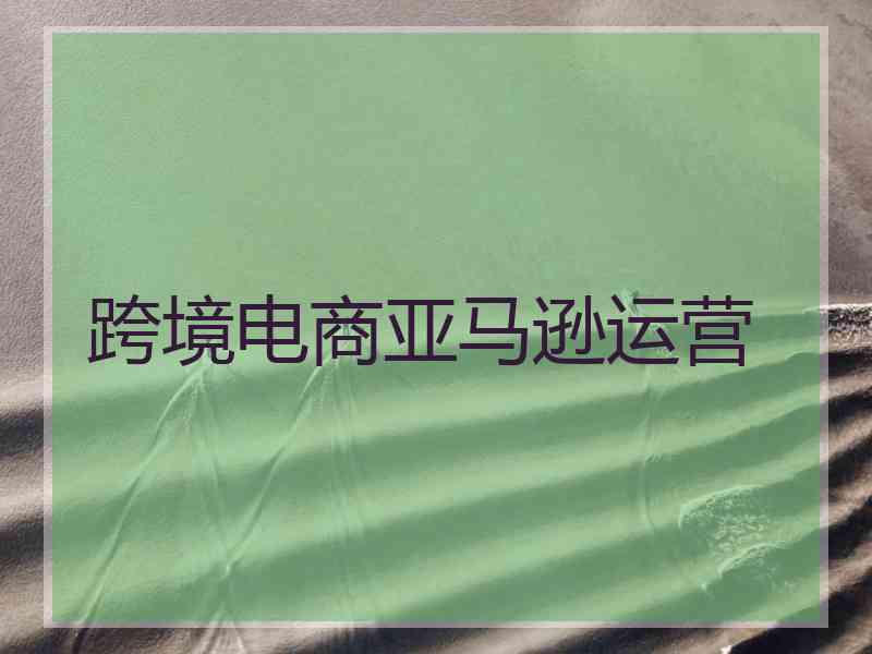 跨境电商亚马逊运营