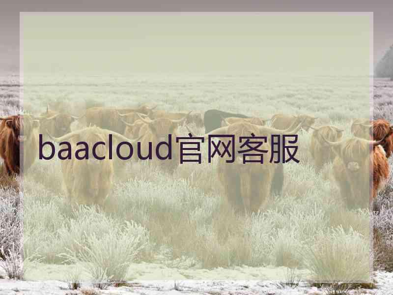 baacloud官网客服