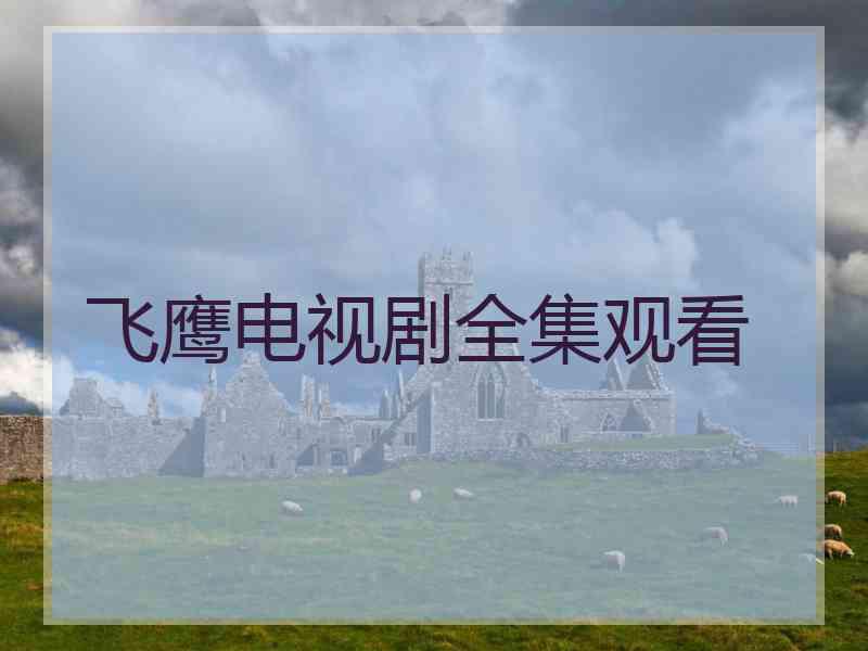 飞鹰电视剧全集观看