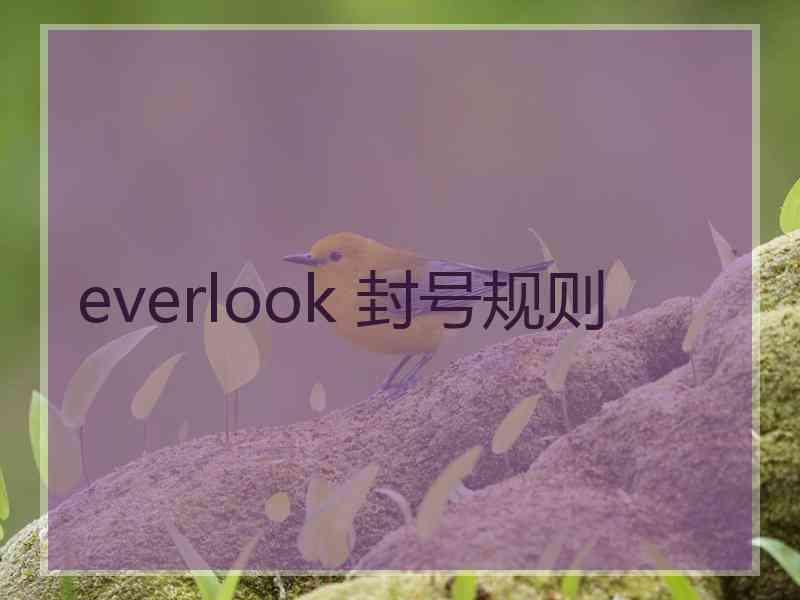 everlook 封号规则