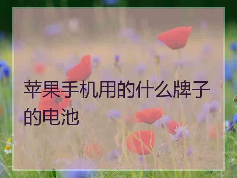 苹果手机用的什么牌子的电池