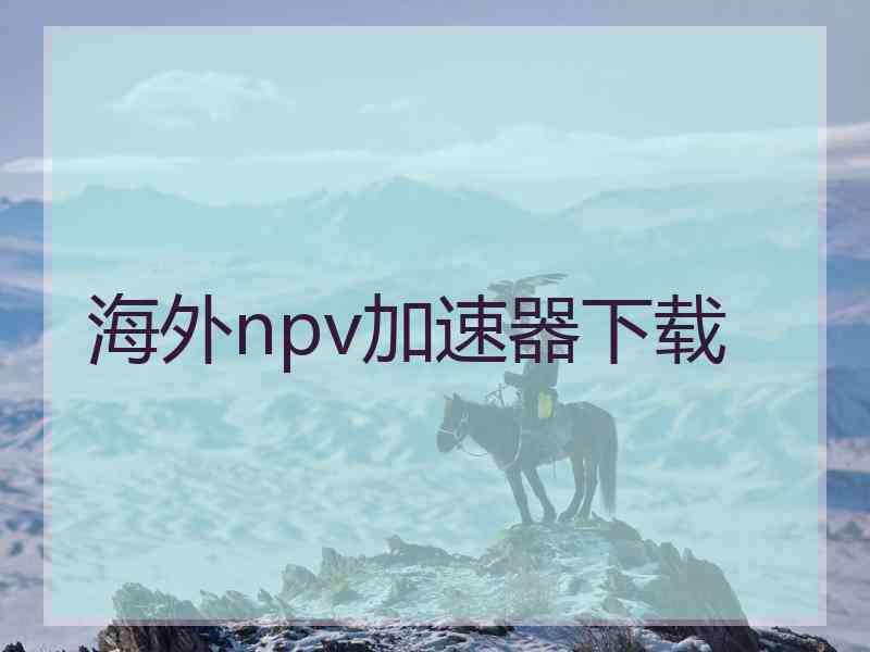 海外npv加速器下载