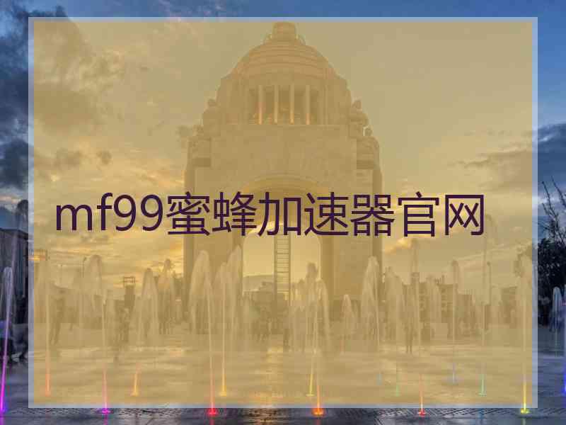 mf99蜜蜂加速器官网