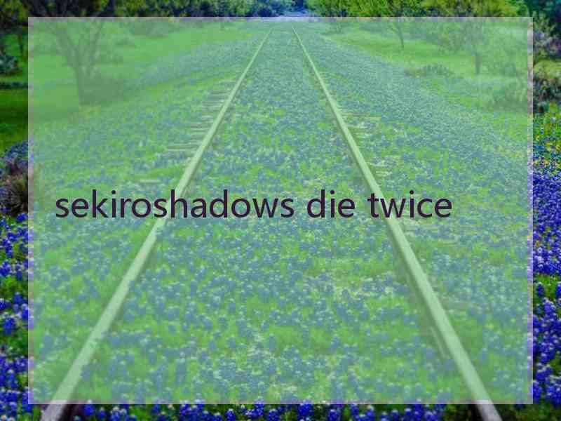 sekiroshadows die twice