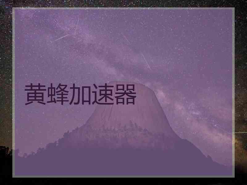 黄蜂加速器