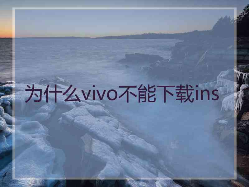 为什么vivo不能下载ins