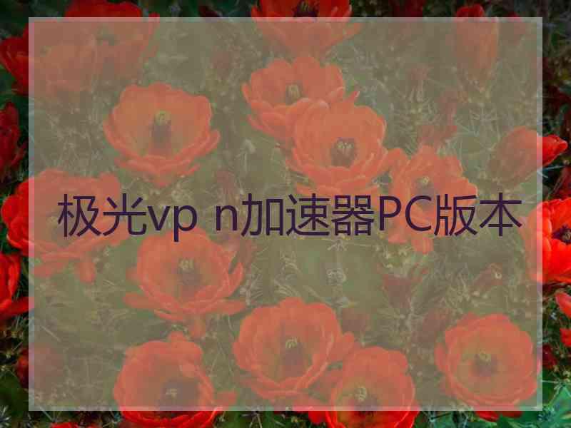 极光vp n加速器PC版本