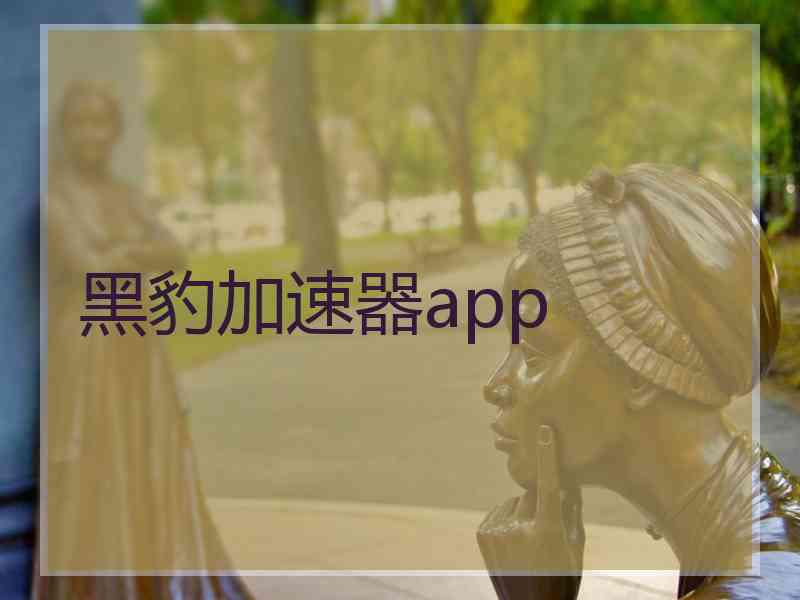 黑豹加速器app