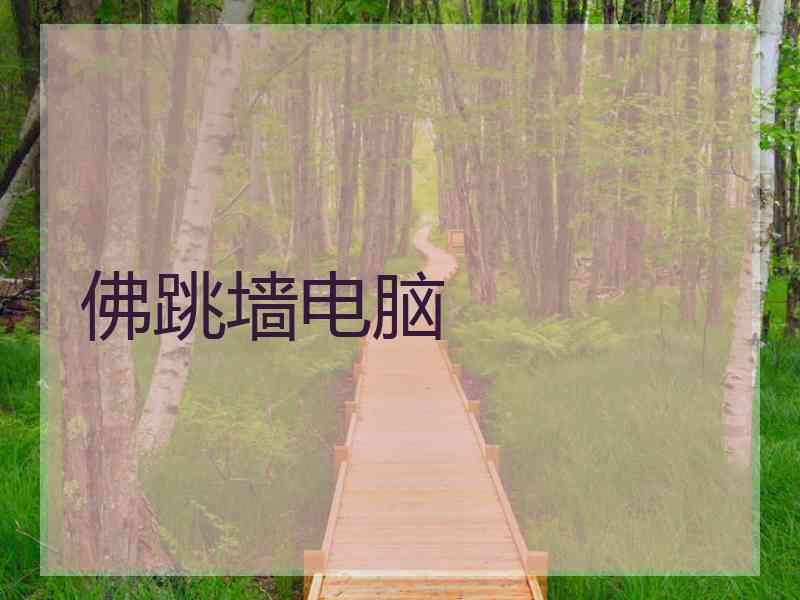 佛跳墙电脑