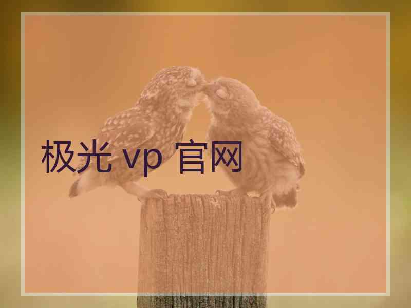 极光 vp 官网