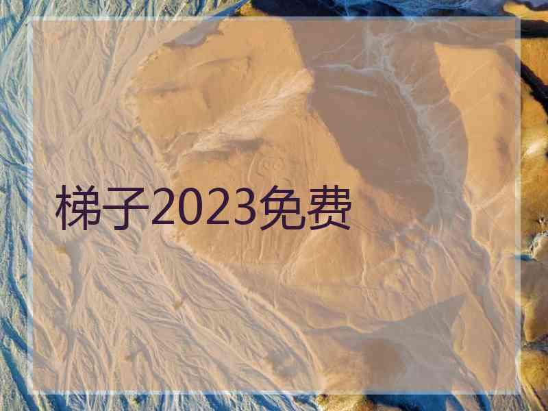 梯子2023免费