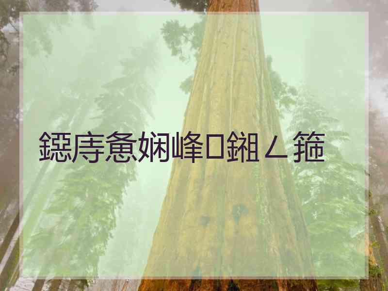 鐚庤惫娴峰鎺ㄥ箍