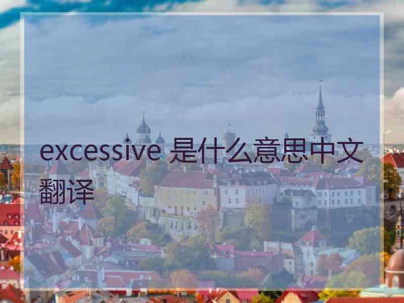 excessive 是什么意思中文翻译
